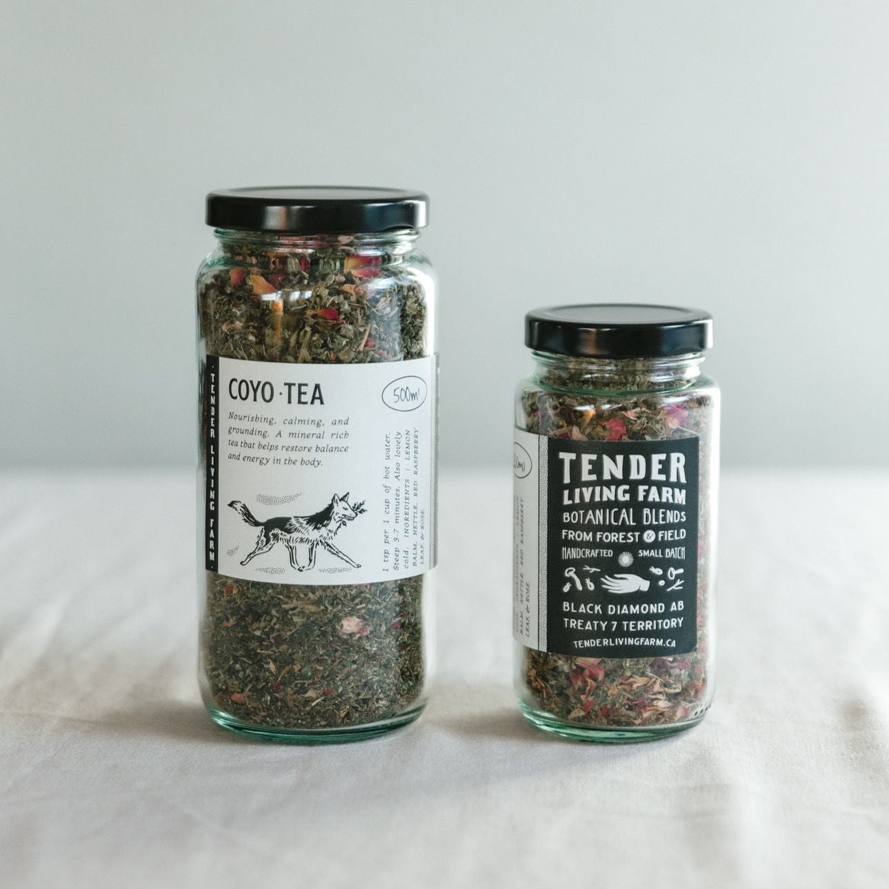 CoyoTea