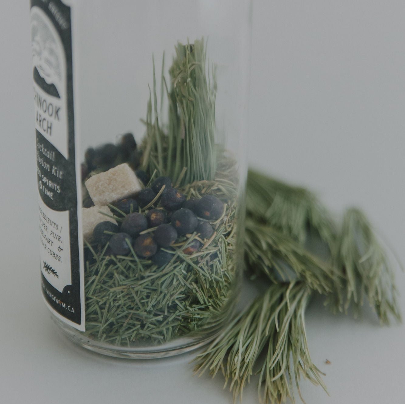 Chinook Arch Cocktail Infusion kit