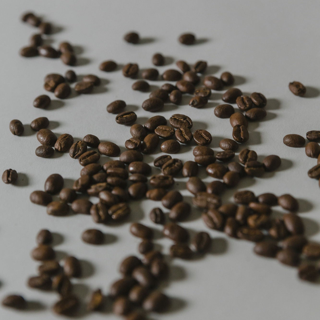 Bertie's Blend Coffee Beans