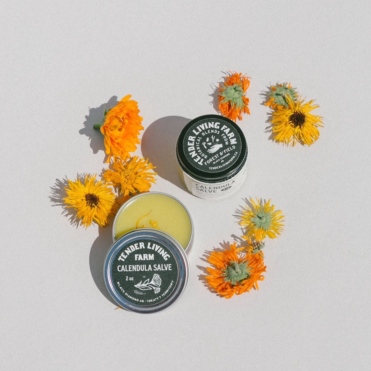 Calendula Salve